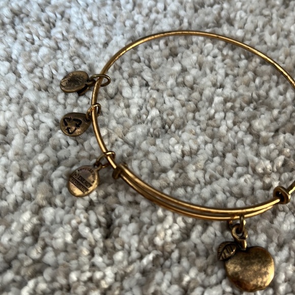 Alex and Ani Teacher Apple Charm Bracelet - Picture 3 of 3